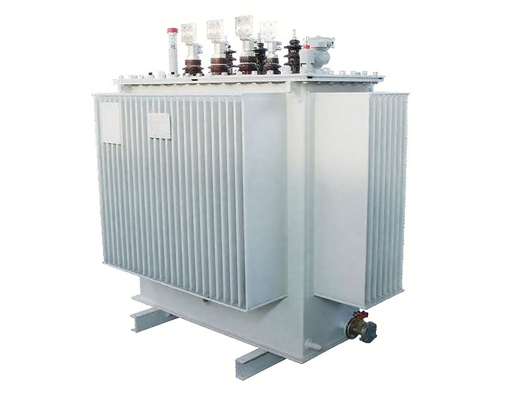 10kV Class Liquid-Immersed Totally-Enclosed Distribution Transformer